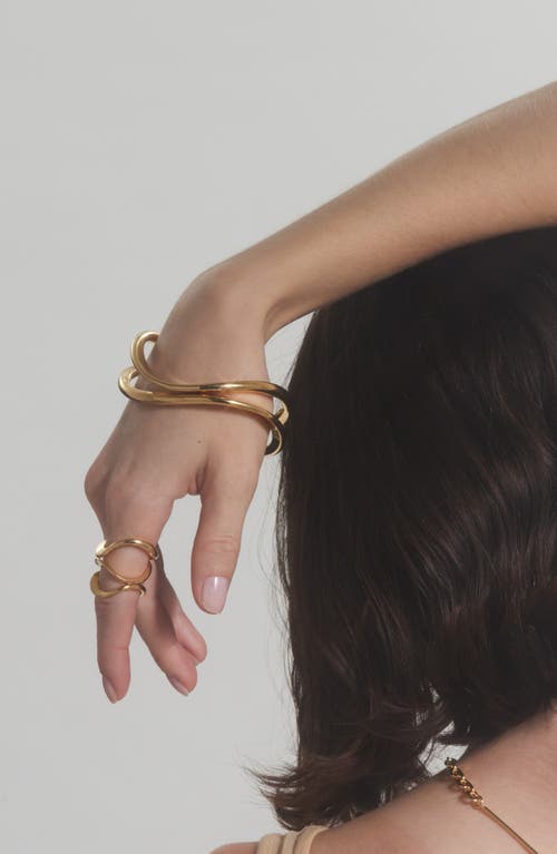 Shop Lady Grey Raia Set Of 2 Bangles In Gold