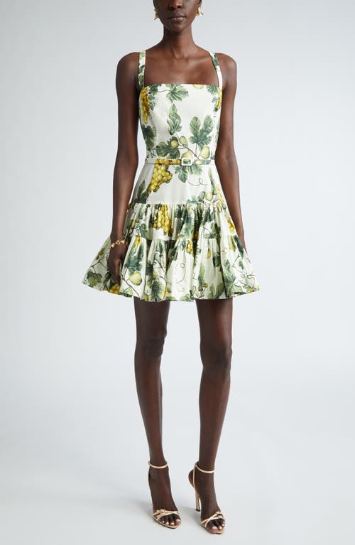 Shop Oscar De La Renta Fig Print Belted Mini Sundress In Ecru/green