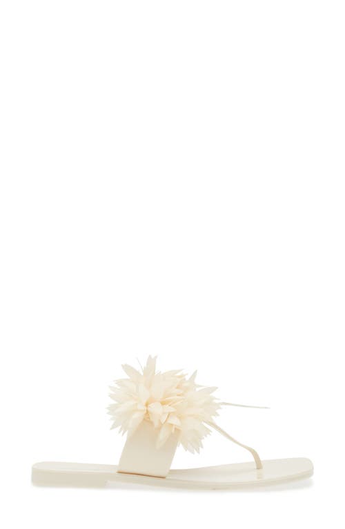 JEFFREY CAMPBELL JEFFREY CAMPBELL POLLINATE T-STRAP SANDAL 