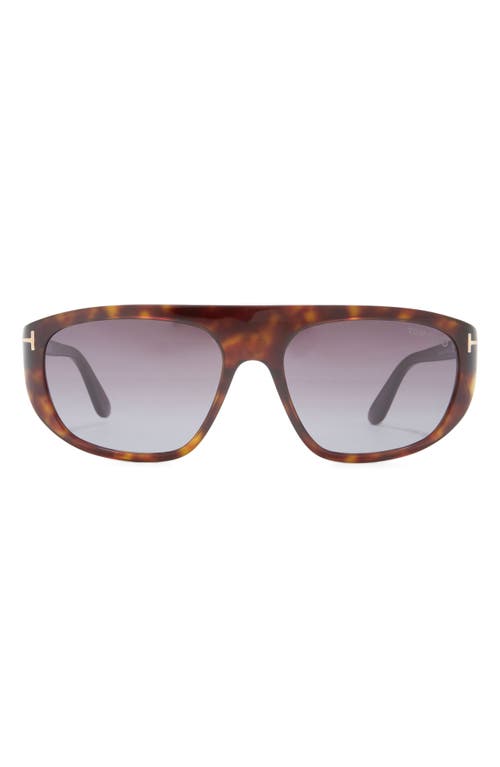 Tom Ford 58mm Pilot Sunglasses In Dark Havana/gradient Smoke