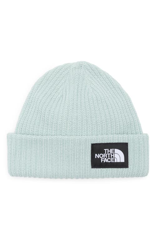 Shop The North Face Kids' Salty Dog Beanie In Muted Pine