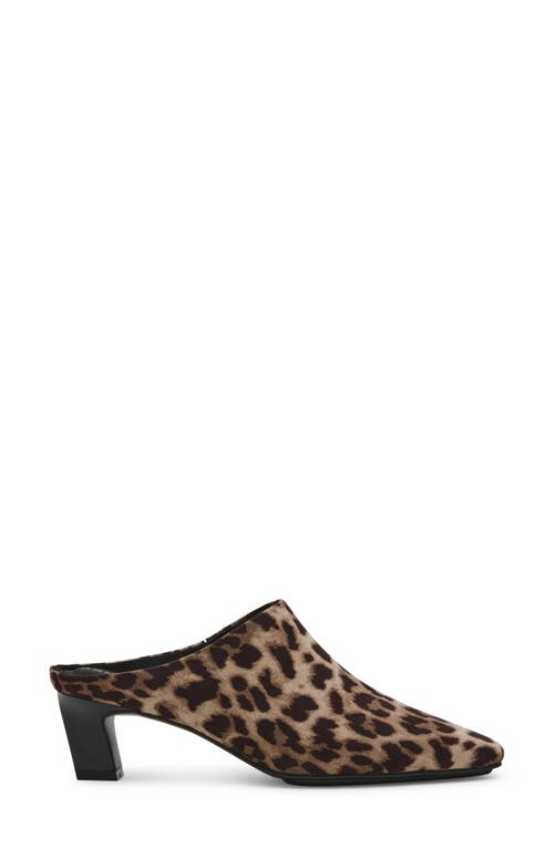 Shop Anne Klein Sabrine Mule In Leopard