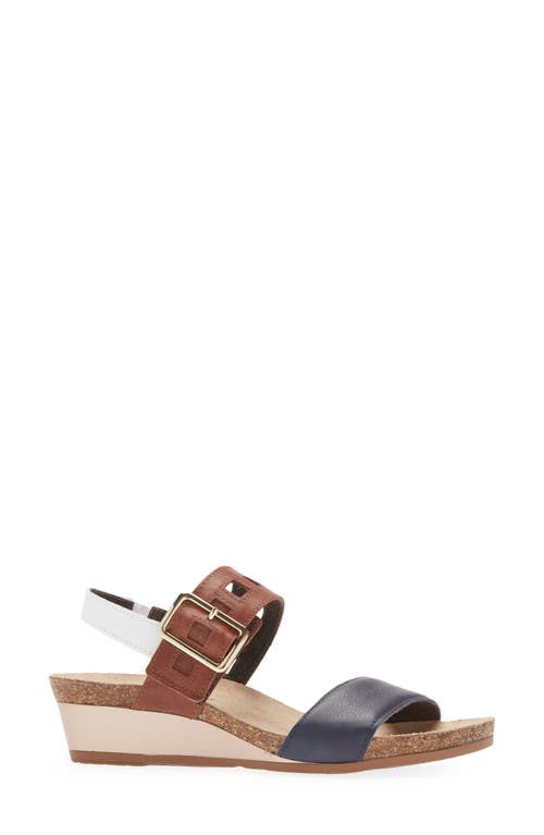 Shop Naot Dynasty Wedge Sandal In Ink/soft Chestnut/white