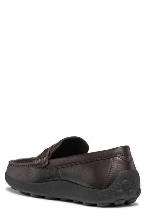 Shop Geox Spherica Penny Loafer In Coffee