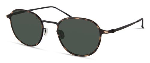 Modo 697 Sunglasses In Brown Tortoise