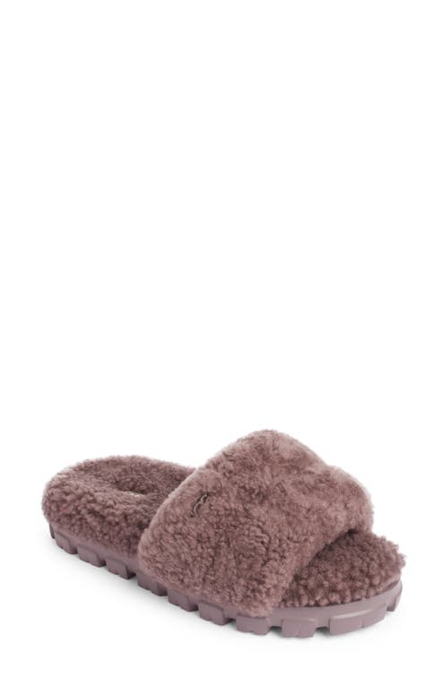 Shop Ugg(r) Cozetta Curly Genuine Shearling Slide Slipper In Thundercloud