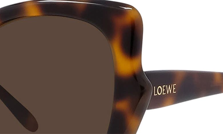 Shop Loewe Thin 55mm Geometric Sunglasses In Dark Havana / Brown