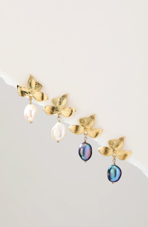 Set & Stones Maeve Freshwater Pearl Drop Earrings In Gold/peacock