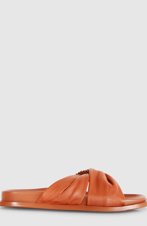 Belle & Bloom Whitehaven Slide In Camel