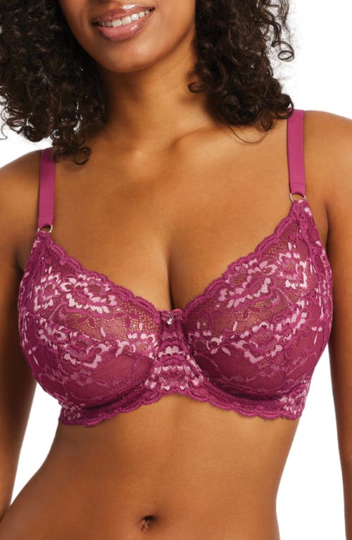 Montelle Intimates Montelle Intimate Muse Full Cup Lace Bra in Cranberry/rose 