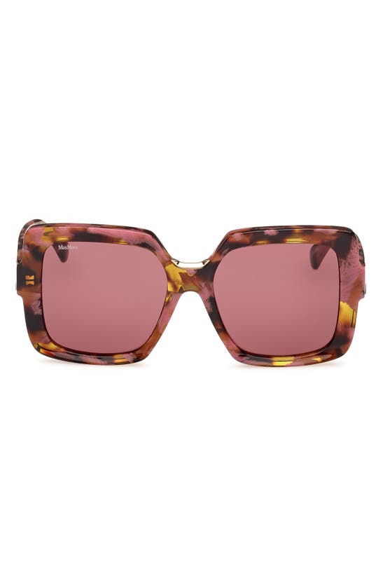 Max Mara Women's D107 56mm Square Sunglasses In Coloured Havana / Bordeaux