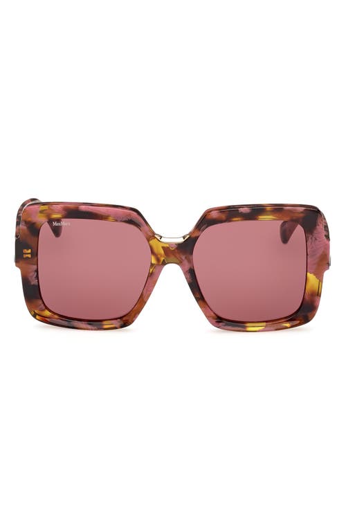 Shop Max Mara Ernest 56mm Square Sunglasses In Coloured Havana/bordeaux