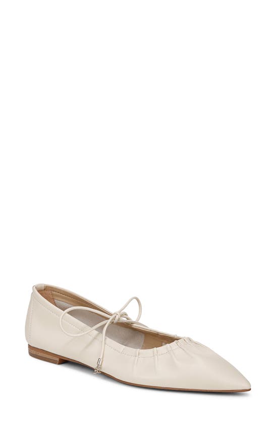 Shop Sam Edelman Bri Mary Jane Pointed Toe Flat In Modern Ivory