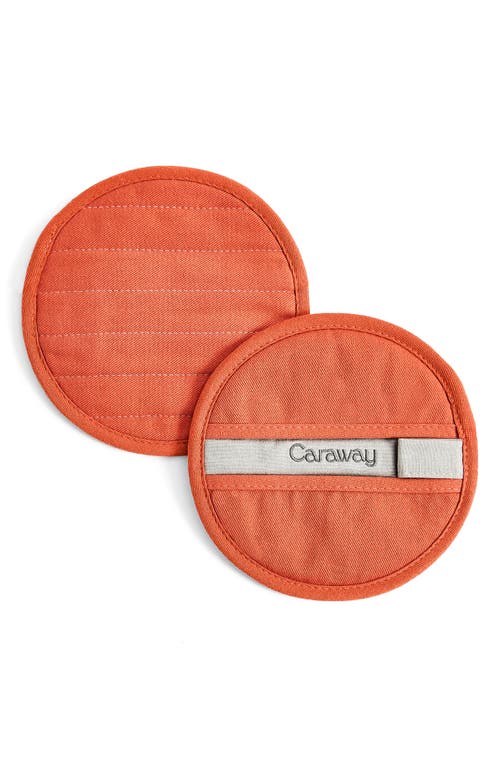 CARAWAY Set of 2 Cotton Potholders in Perracotta at Nordstrom
