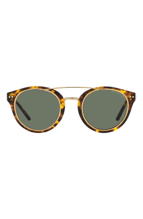 Ralph Lauren 49mm Round Sunglasses in Havana/Green at Nordstrom