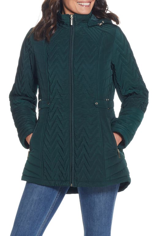 Hooded Quilted Jacket in Dark Hunter