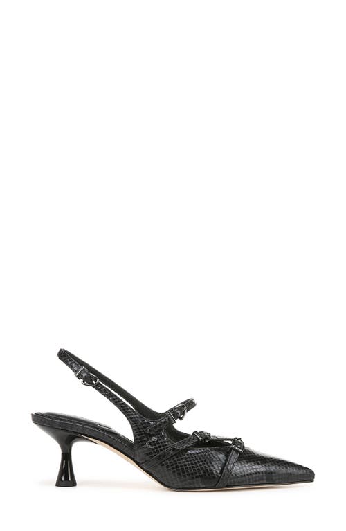 Circus Ny By Sam Edelman Fraya Slingback Pointed Toe Pump In Black