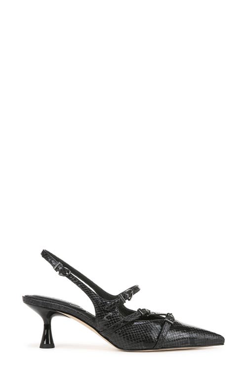 Shop Circus Ny By Sam Edelman Fraya Slingback Pointed Toe Pump In Black