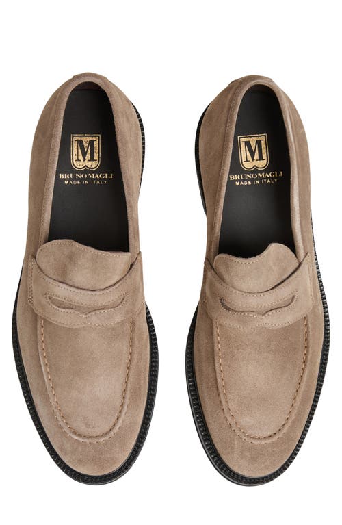 Bruno Magli Dorzano Penny Loafer In Taupe Suede