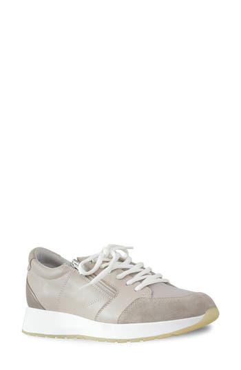 Shop Munro Sutton Sneaker In Natural