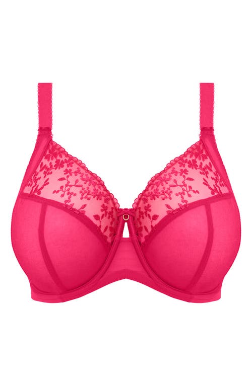 Elomi Charley Side Support Plunge Bra In Love Potion