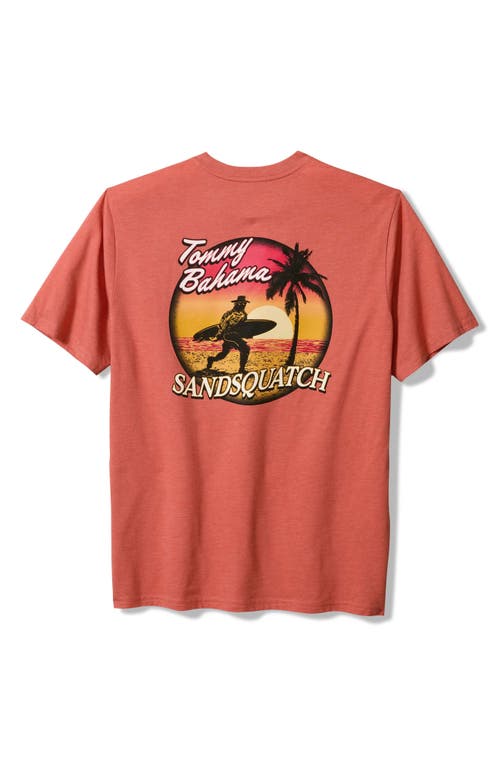 TOMMY BAHAMA TOMMY BAHAMA 'SANDSQUATCH' GRAPHIC T-SHIRT 