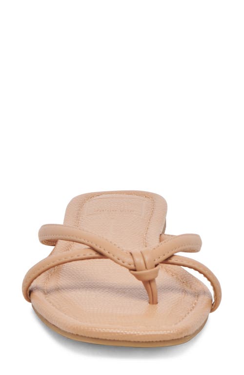 Shop Dolce Vita Lucca Flip Flop In Light Tan Stella