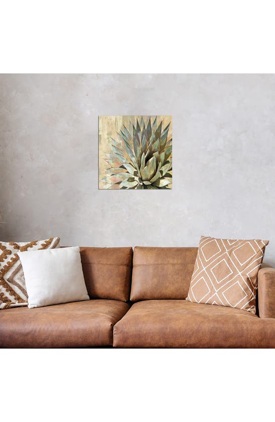 Icanvas Succulent I By Lindsay Benson Canvas Wall Art In Green Flora