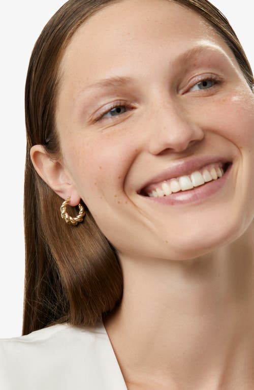 Ana Luisa Twisted Hoop Earrings In Gold