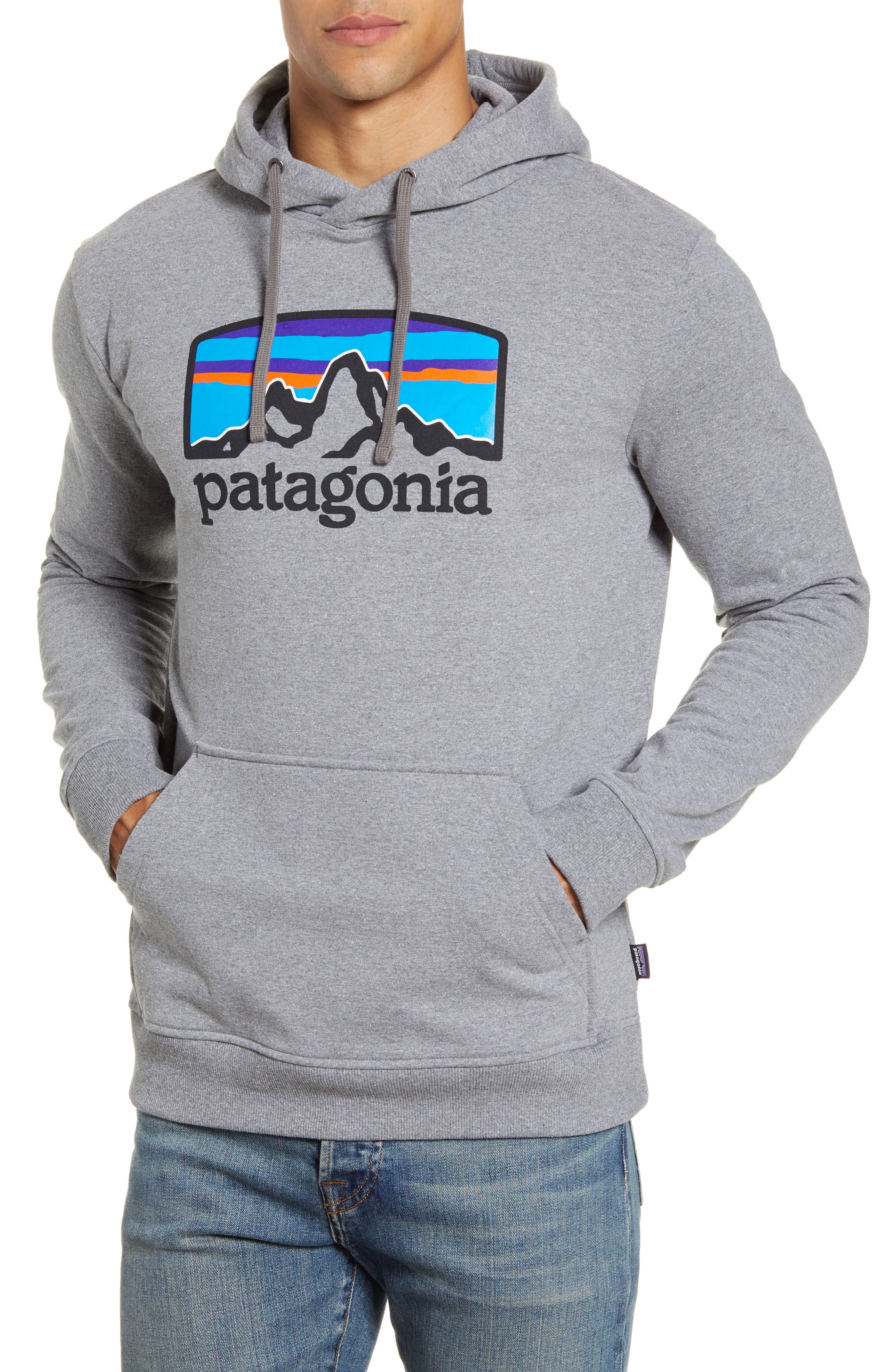 patagonia fitz roy hoody