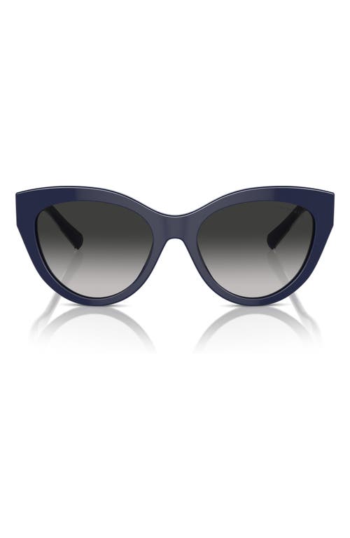 Tiffany & Co . 54mm Gradient Cat Eye Sunglasses In Grey Flash