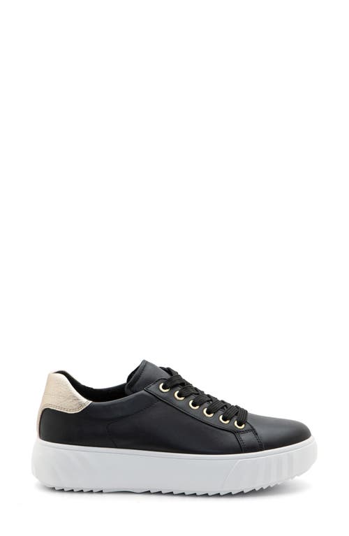 Shop Ara Mikky Platform Sneaker In Black W Platinum