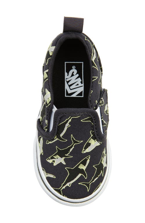Vans Kids' Asher Slip-on Sneaker In Sea Creature Glow Nine Iron