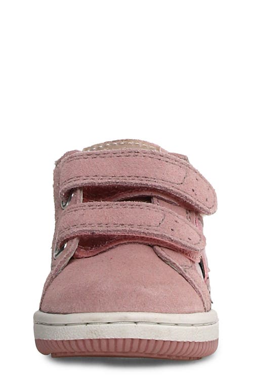 Shop Naturino Kids' Falcotto Zeld Sneaker In Cipria-multi