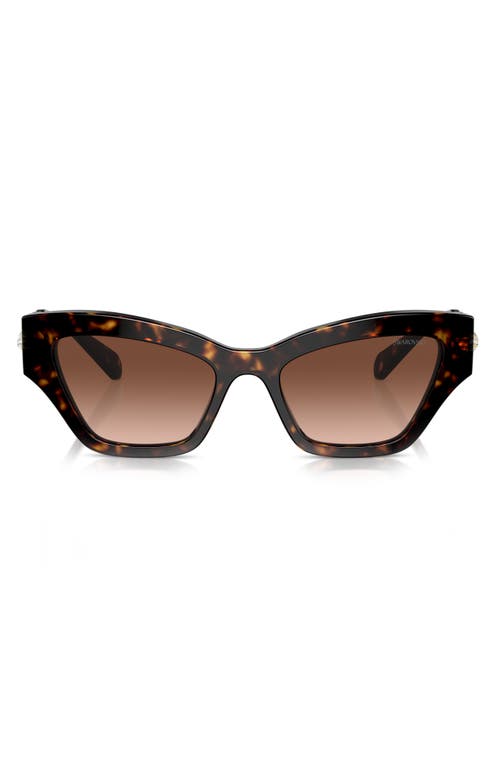 Swarovski 53mm Irregular Sunglasses in Havana at Nordstrom