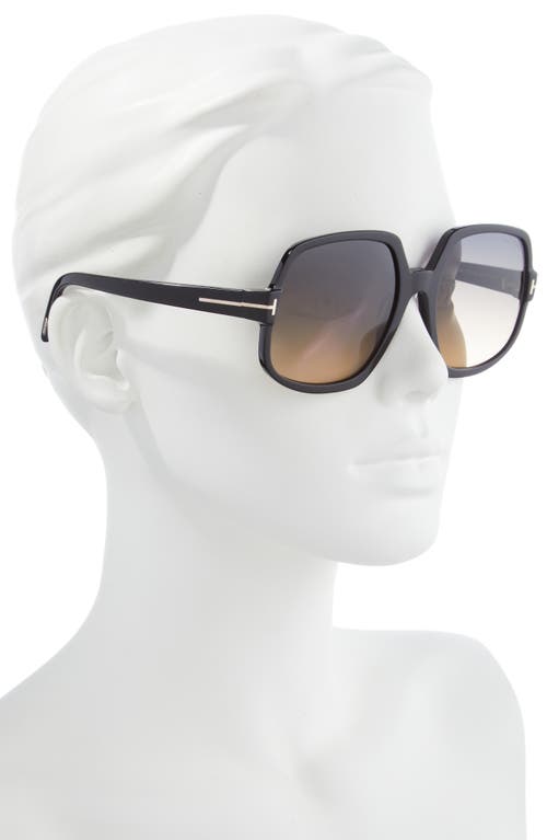 Tom Ford Delphine 60mm Gradient Sunglasses In Shiny Black/gradient Smoke