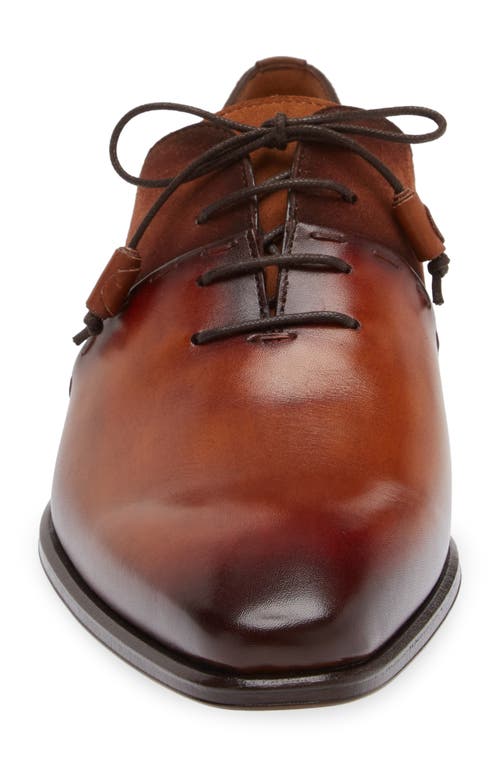 Mezlan Colomer Oxford In Cognac Rust/sport