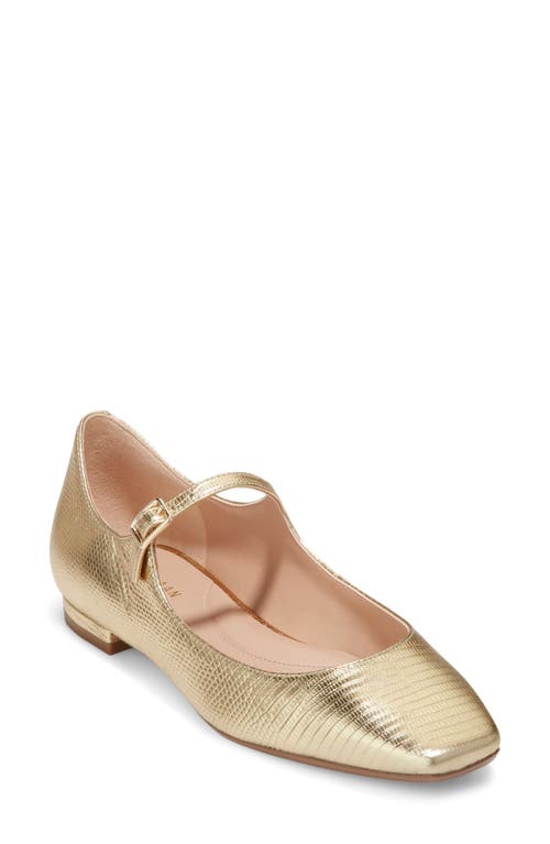 Shop Cole Haan Bridge Mary Jane Ballet Flat In Gold Lizar