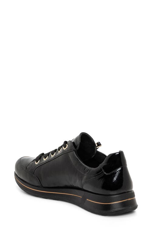 Shop Ara Oleanna Zip Sneaker In Black