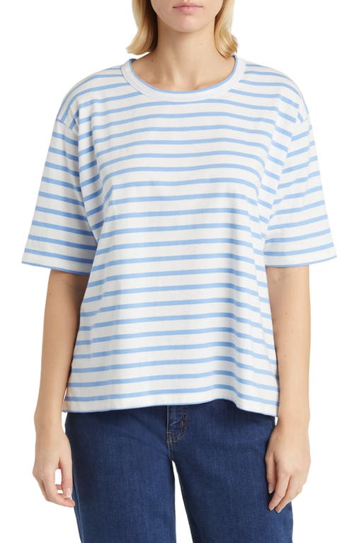 Doreann Stripe T-Shirt in Blue Bonnet