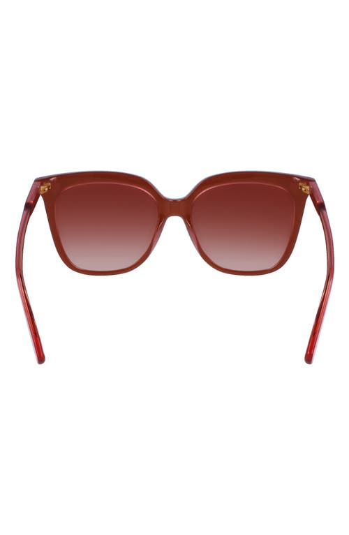 Longchamp 53mm Rectangular Sunglasses In Brown/rose