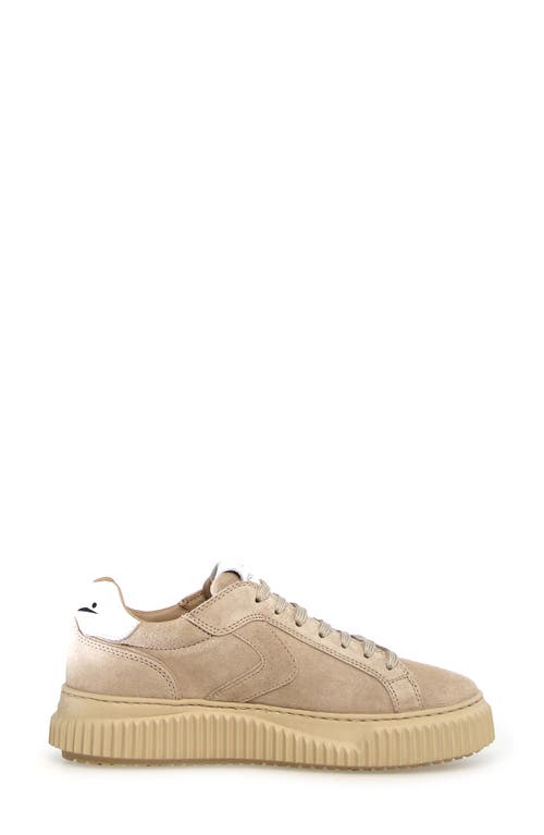 Shop Voile Blanche Lipari Genuine Shearling Lined Sneaker In Beige