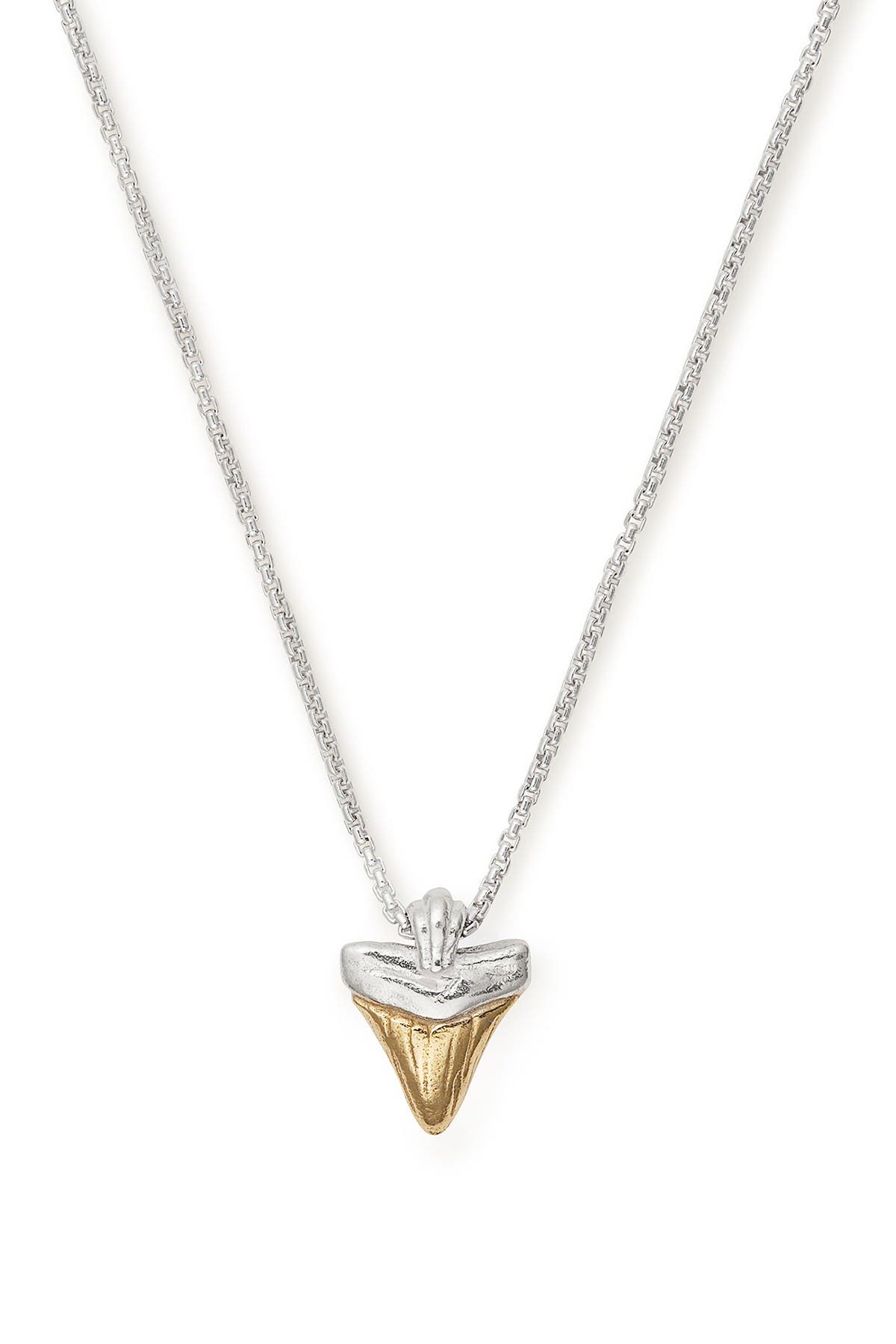 alex and ani pendant necklace