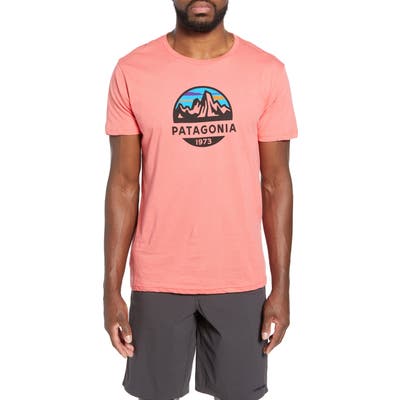 Patagonia Fitz Roy Scope Crewneck T-Shirt