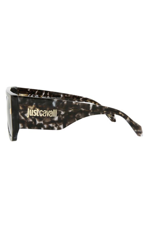 Just Cavalli Navigator-frame Acetate Sunglasses Sunglasses Grey Size 56 Acetate In Grey Havana Grey Havana Smoke