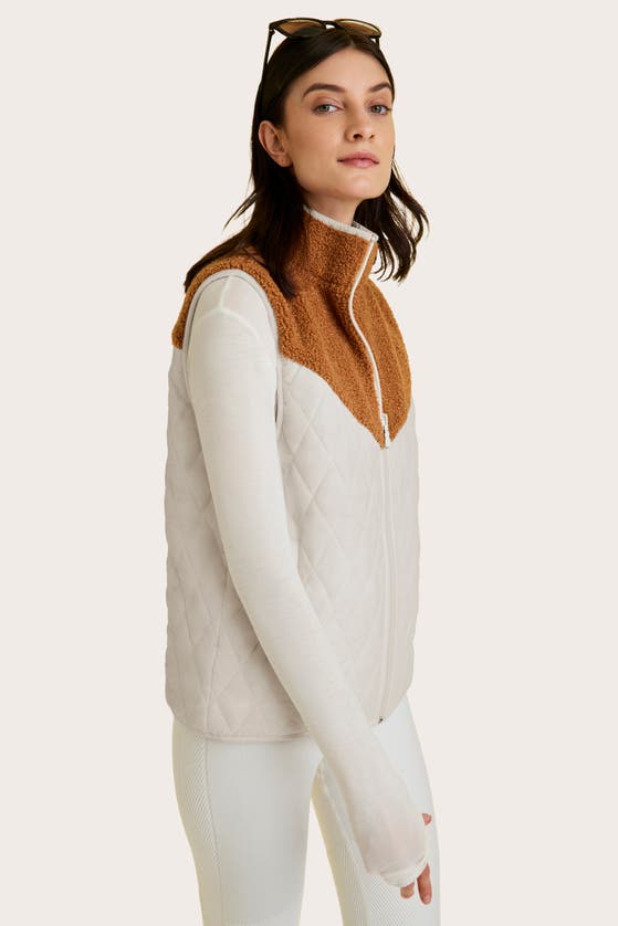 Shop Alala Reversible Ski Vest In Khaki