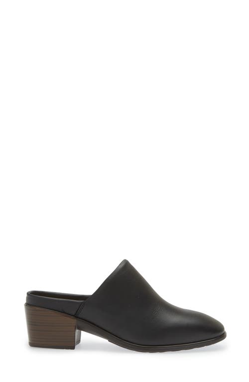 Shop Naot Dedicate Mule In Jet Black Leather