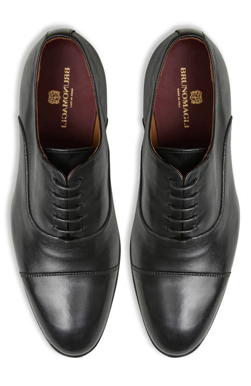 Bruno Magli Adriano Cap Toe Oxford In Black
