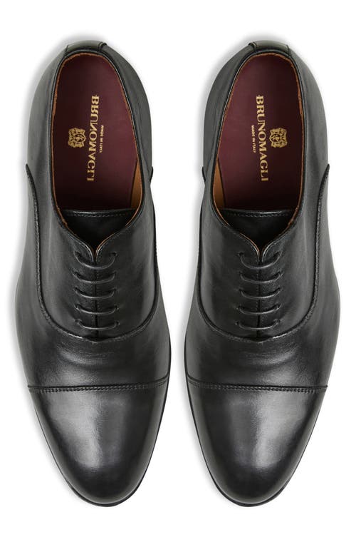 Shop Bruno Magli Adriano Cap Toe Oxford In Black