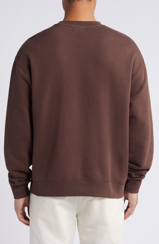 Shop Quiet Golf Embroidered Owl Cotton Sweatshirt In Brown